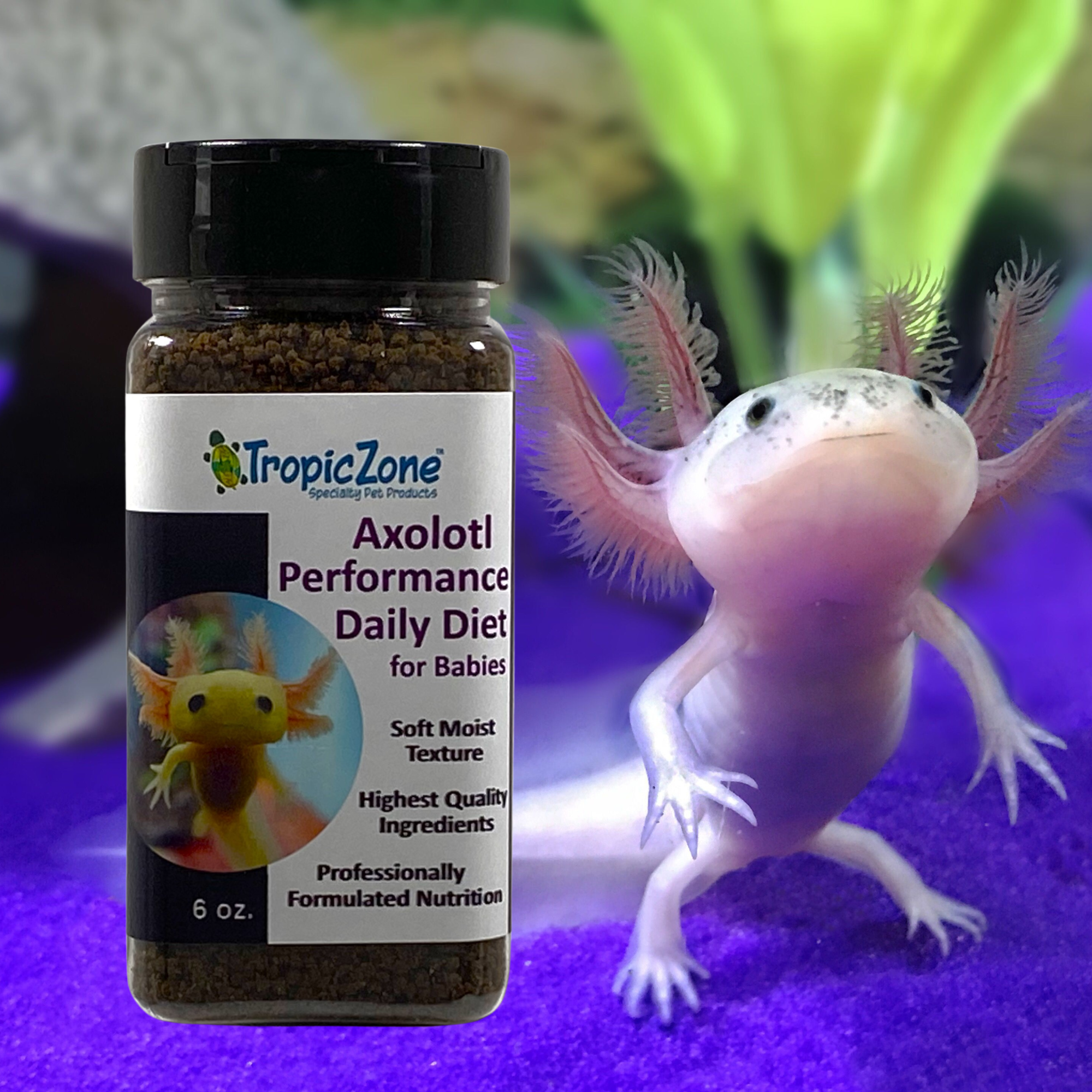 Complete Guide to Axolotl Diet: Essential Foods for Optimal Health in 2025