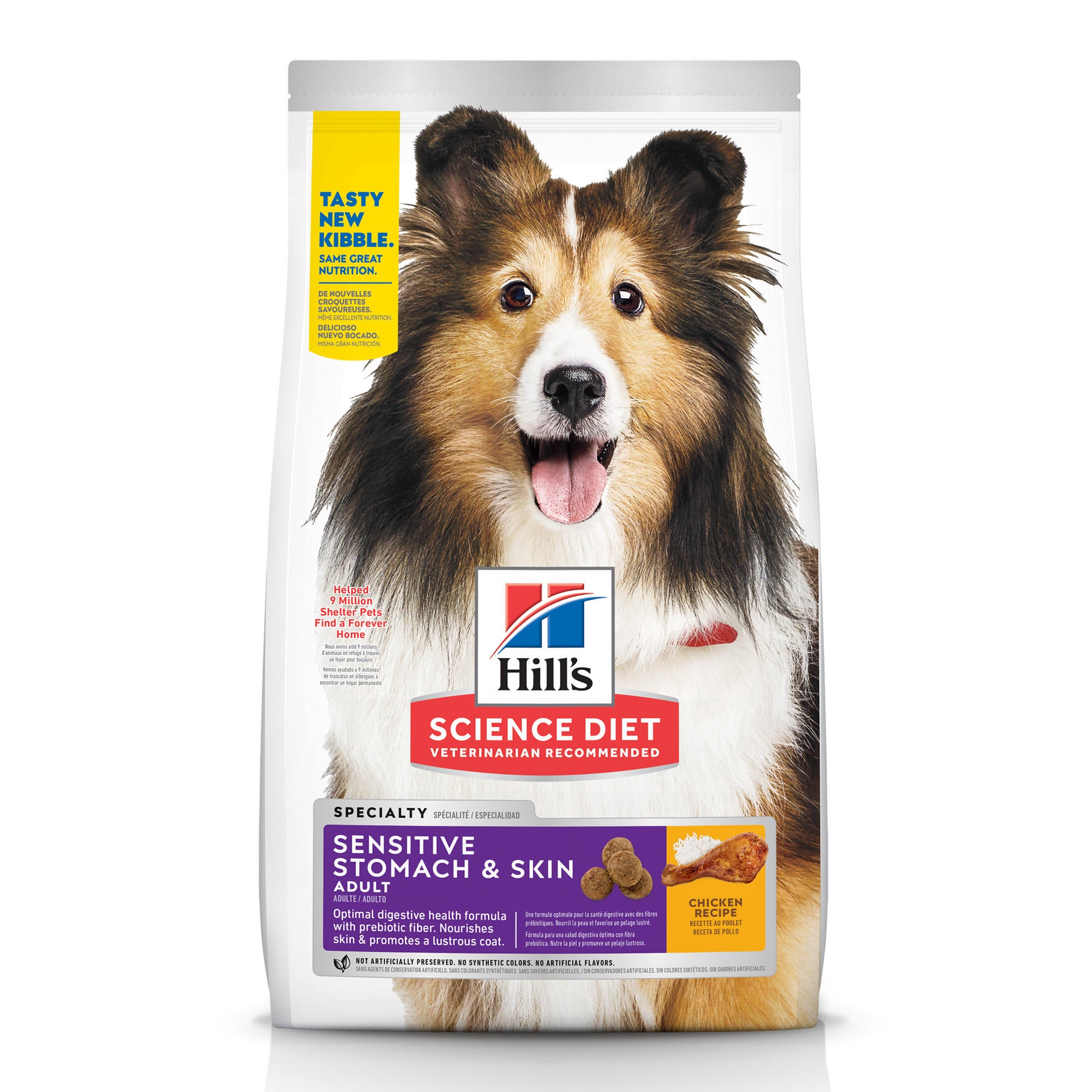 Best 5 Hill’s Science Diet Dog Food Options for Healthy Pets in 2025