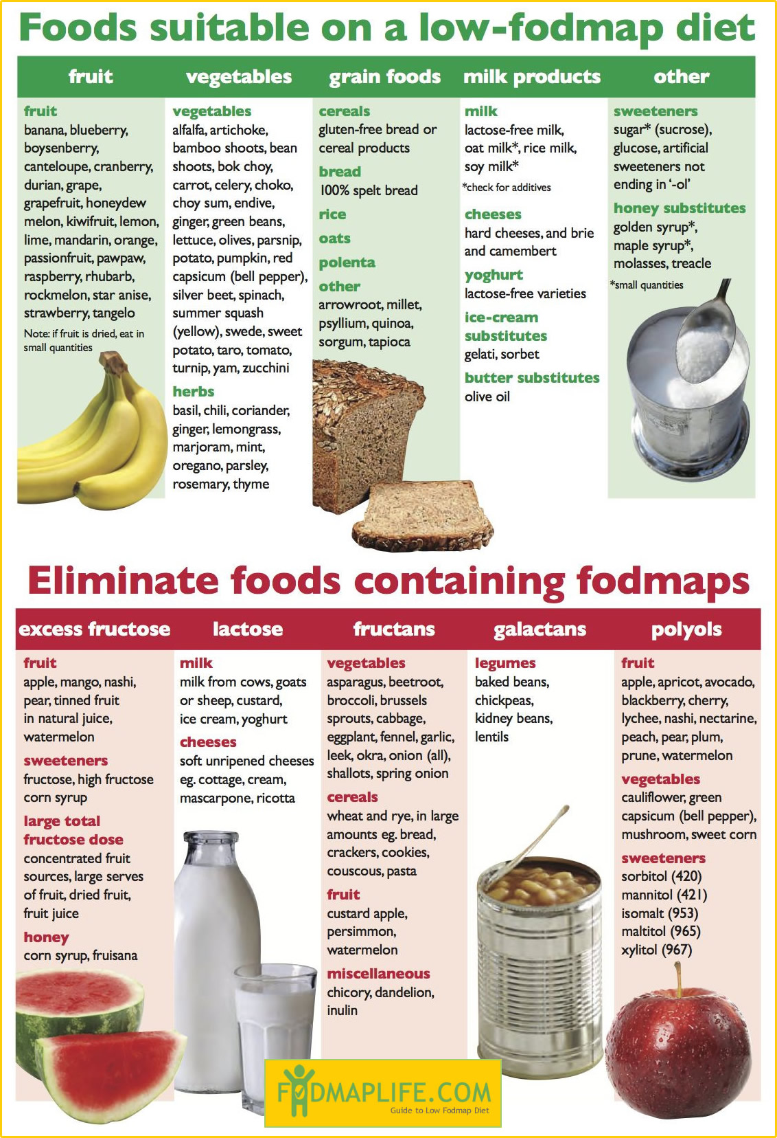 Essential Guide to the Low FODMAP Diet: Practical Tips for 2025